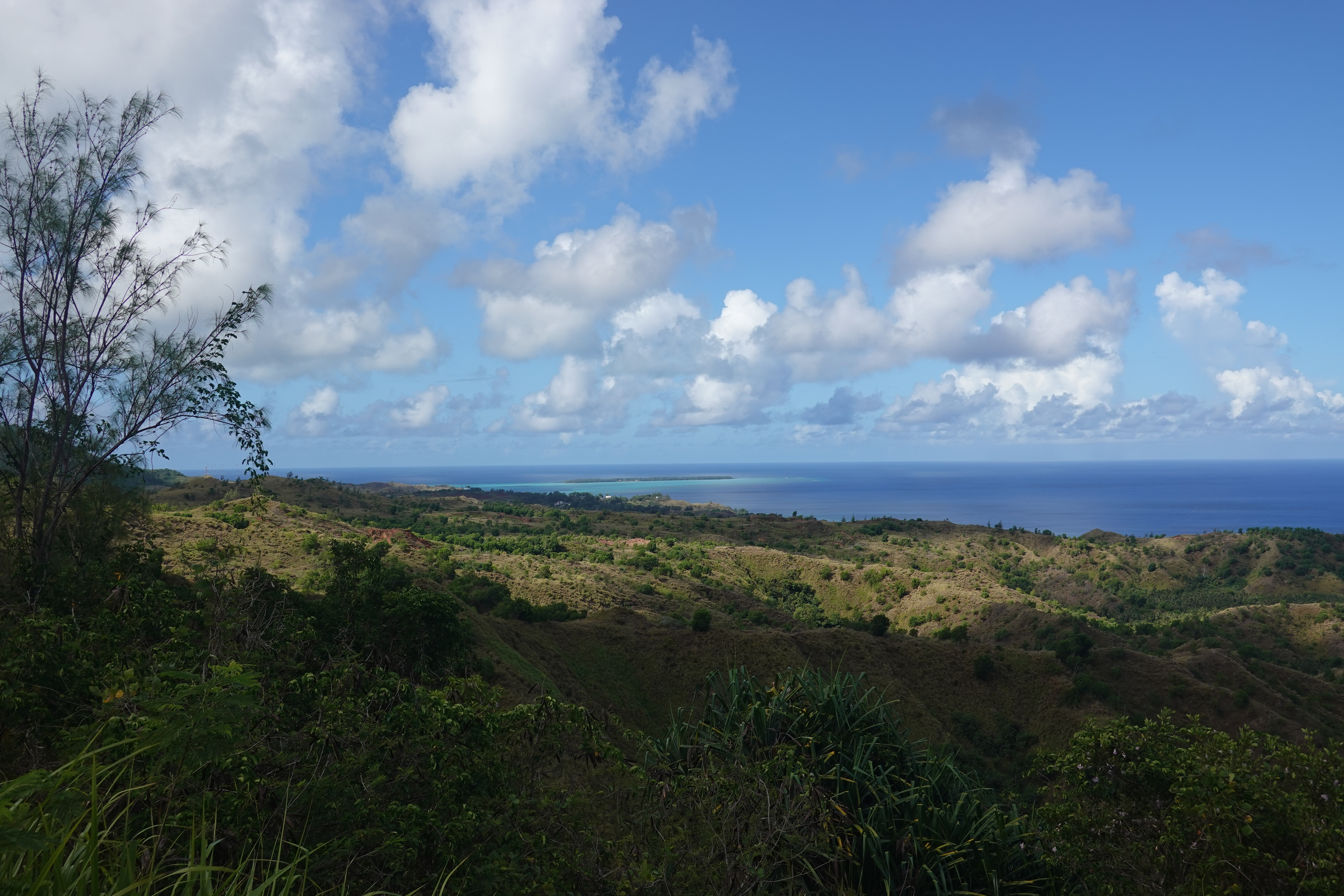 a panoramic view